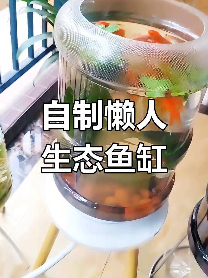 矿泉水桶变生态鱼缸,简单组装一键排污