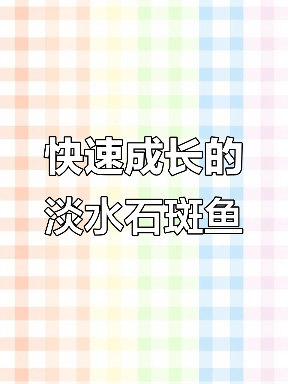 淡水石斑鱼:抗病力强,生长迅速,养殖新宠