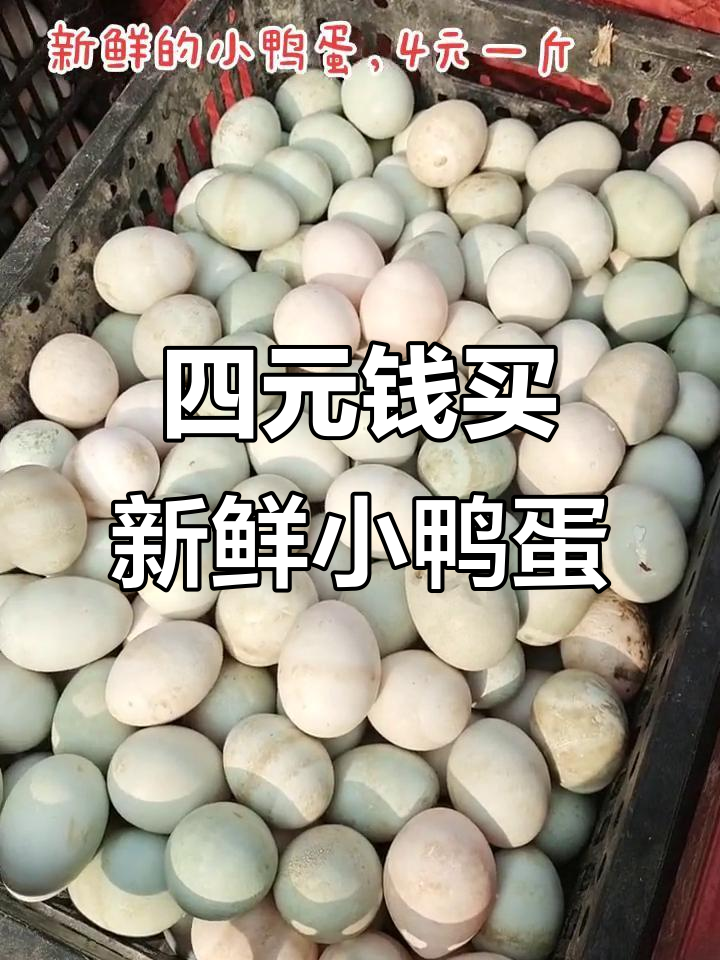 新鲜小鸭蛋,四块钱一斤,健康又美味