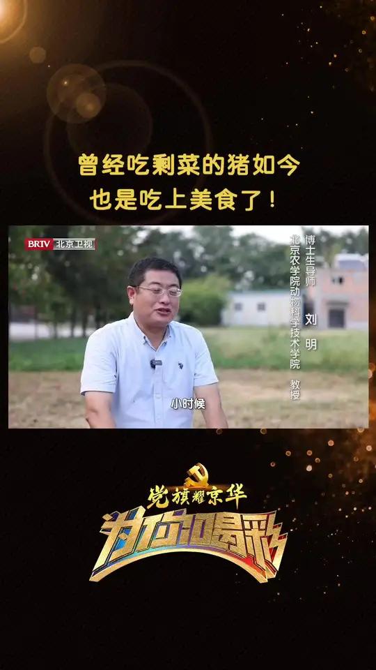 曾经吃剩菜的猪如今也是吃上美食了 曾经家家户户都用剩菜剩饭兑水当做饲料,用来喂猪,被称为“
