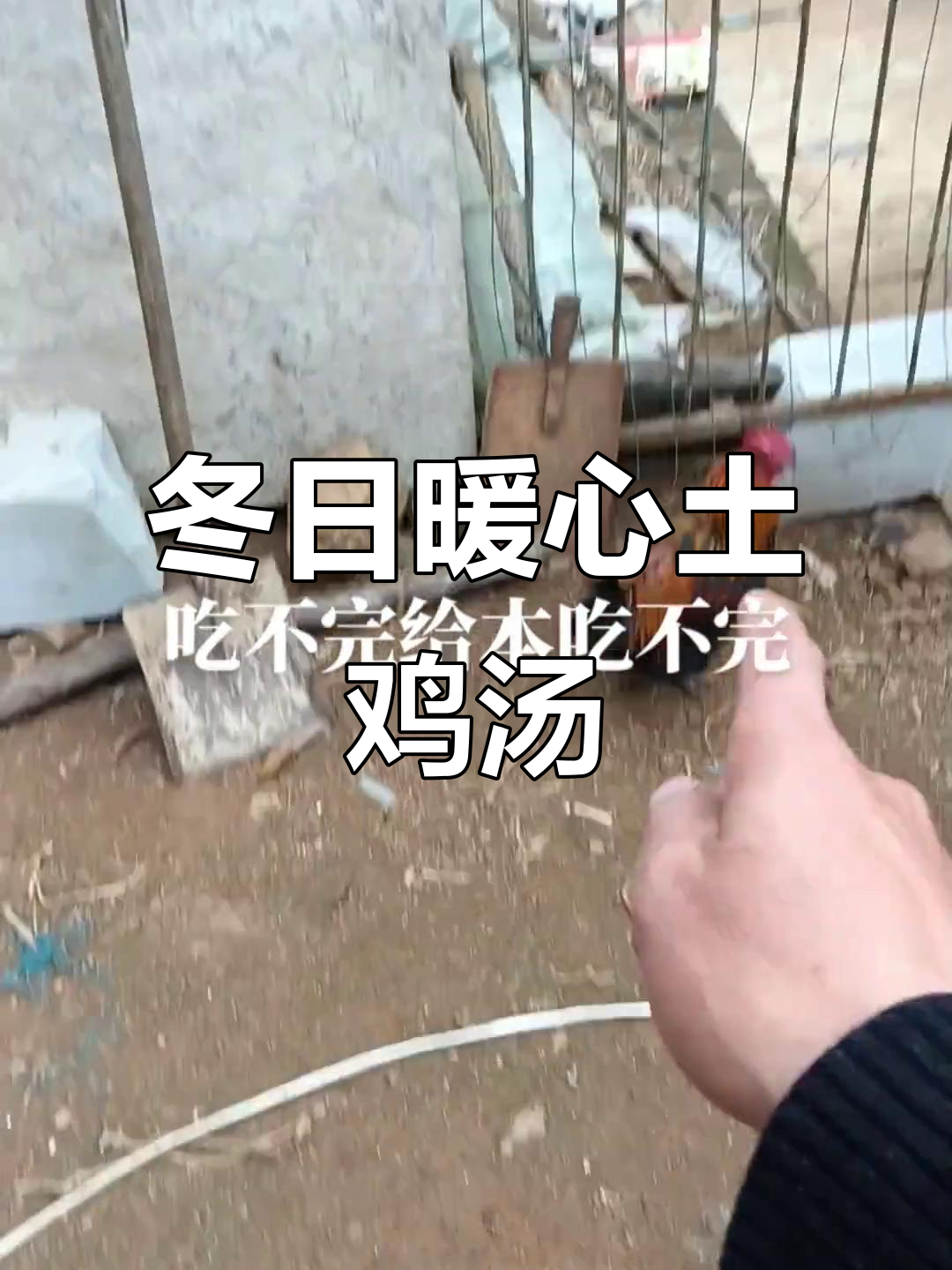 冬季滋补必备:野山药炖土鸡,美味又养生