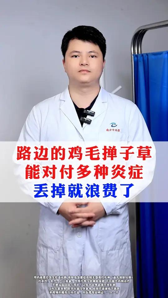 路边的鸡毛掸子草,能对付多种炎症,丢掉就浪费了