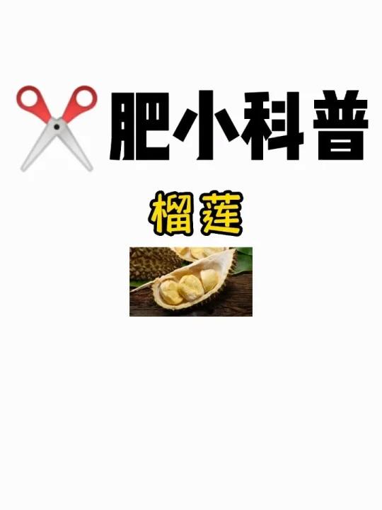 肥小科普「榴莲」