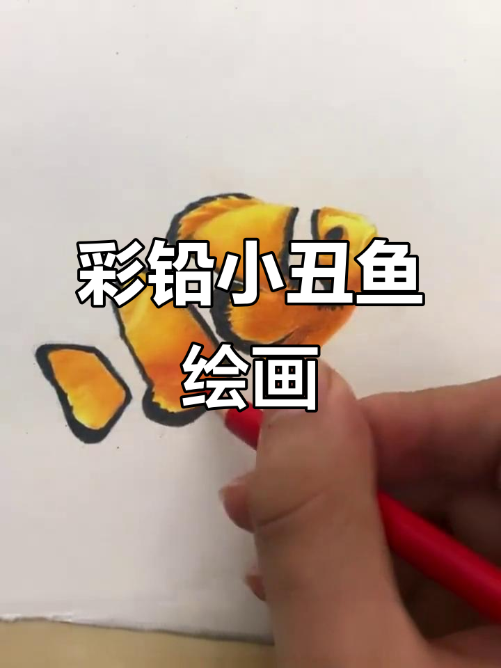 小丑鱼彩铅画教程，简单写实步骤轻松学会