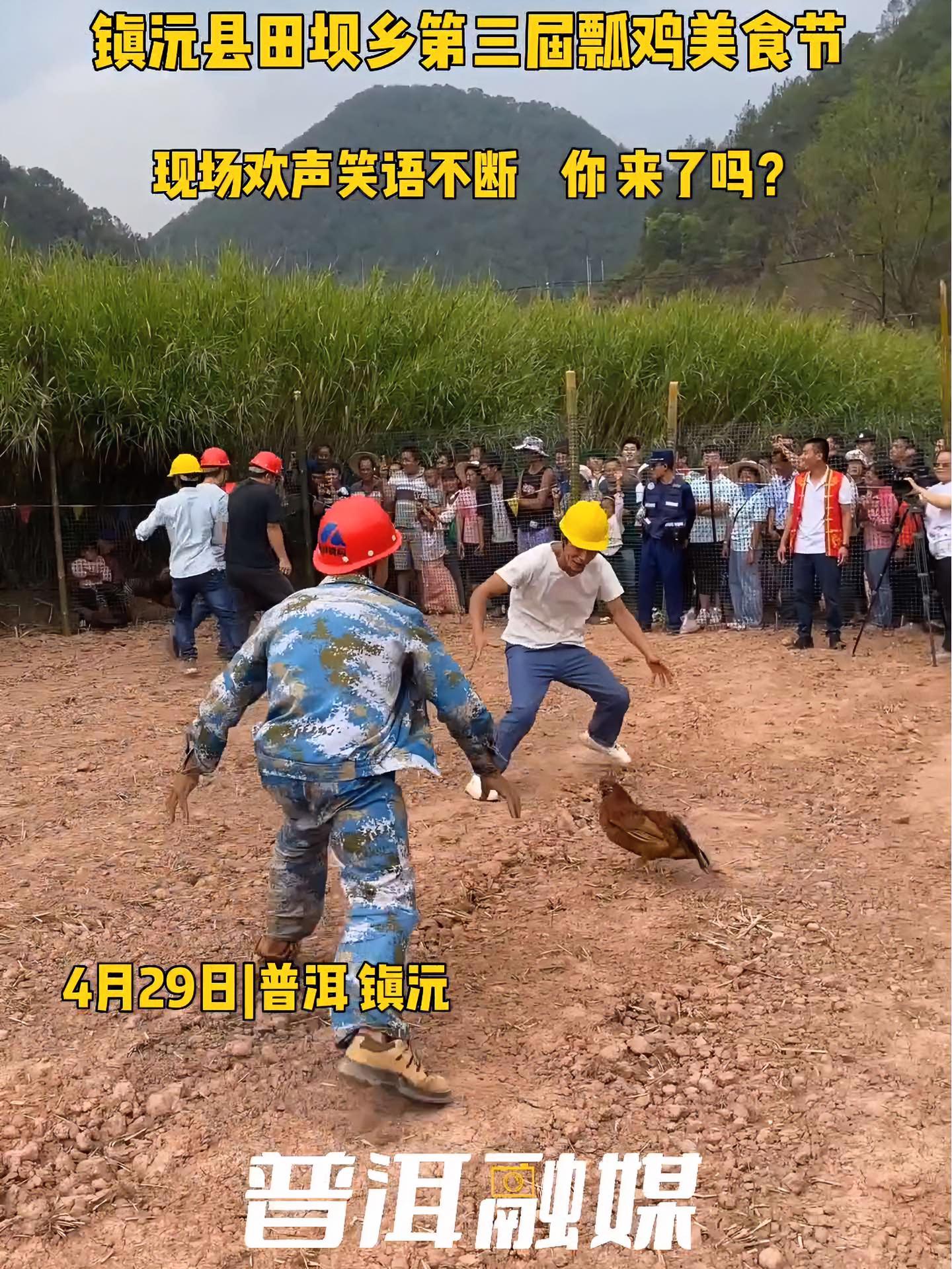 镇沅县田坝乡第三届瓢鸡美食节,现场欢声笑语不断。你,来了吗?好玩普洱