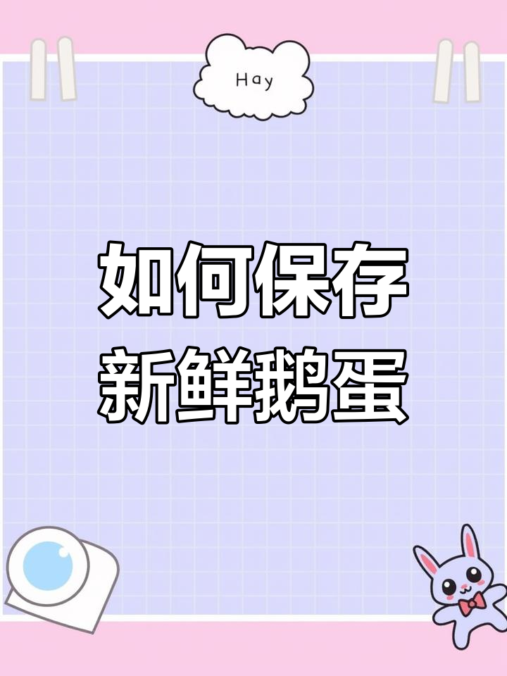 捡到600多枚鹅蛋,保存方法全攻略
