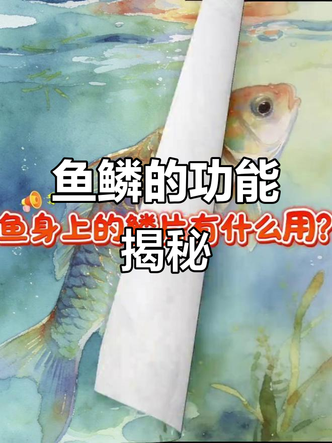 鱼鳞到底有什么作用?从防御到武器样样行