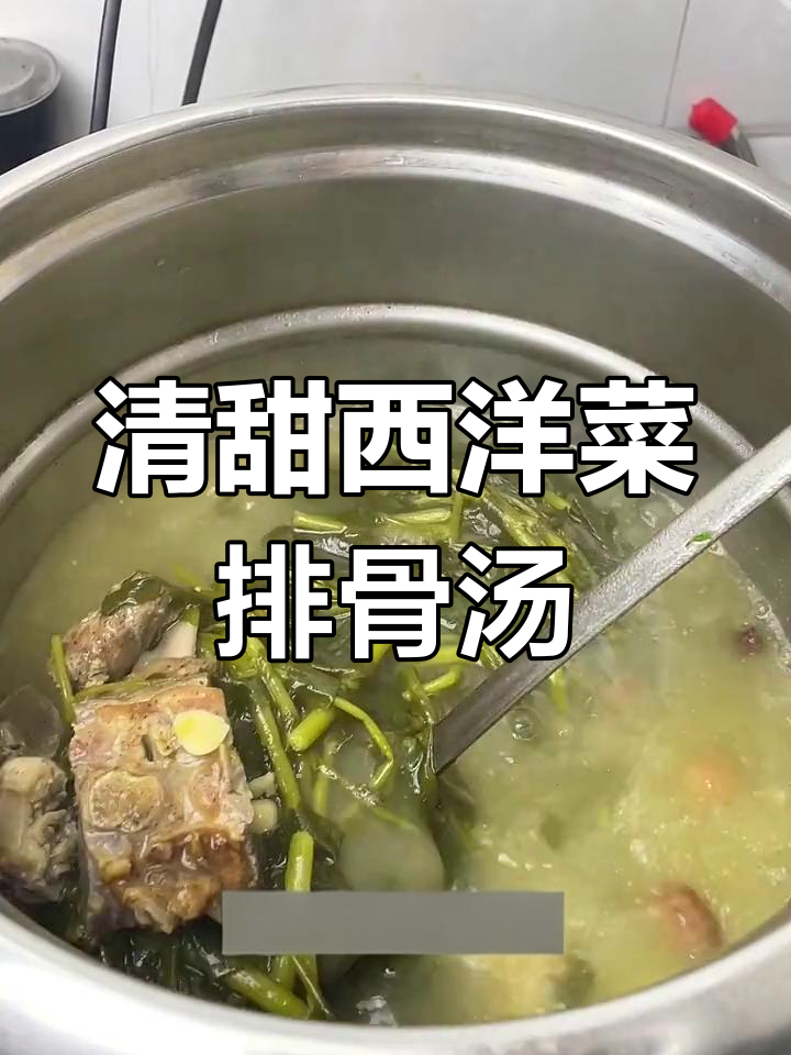 西洋菜烧骨汤,清腻又美味