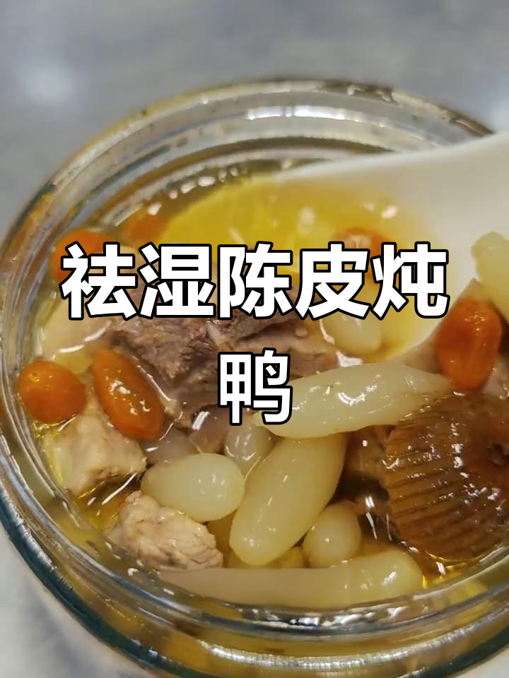 陈皮炖老鸭,驱湿必备汤品!