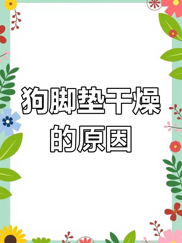 狗狗脚垫干裂?这些原因你中了吗
