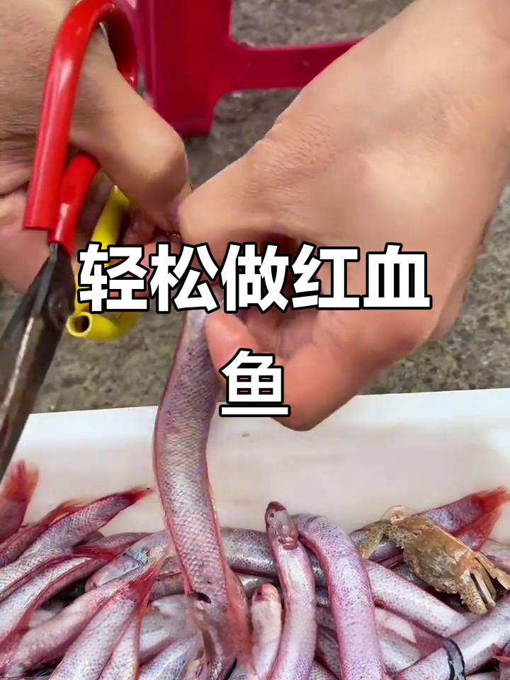 红血鱼做法超简单,炖汤煎香都美味