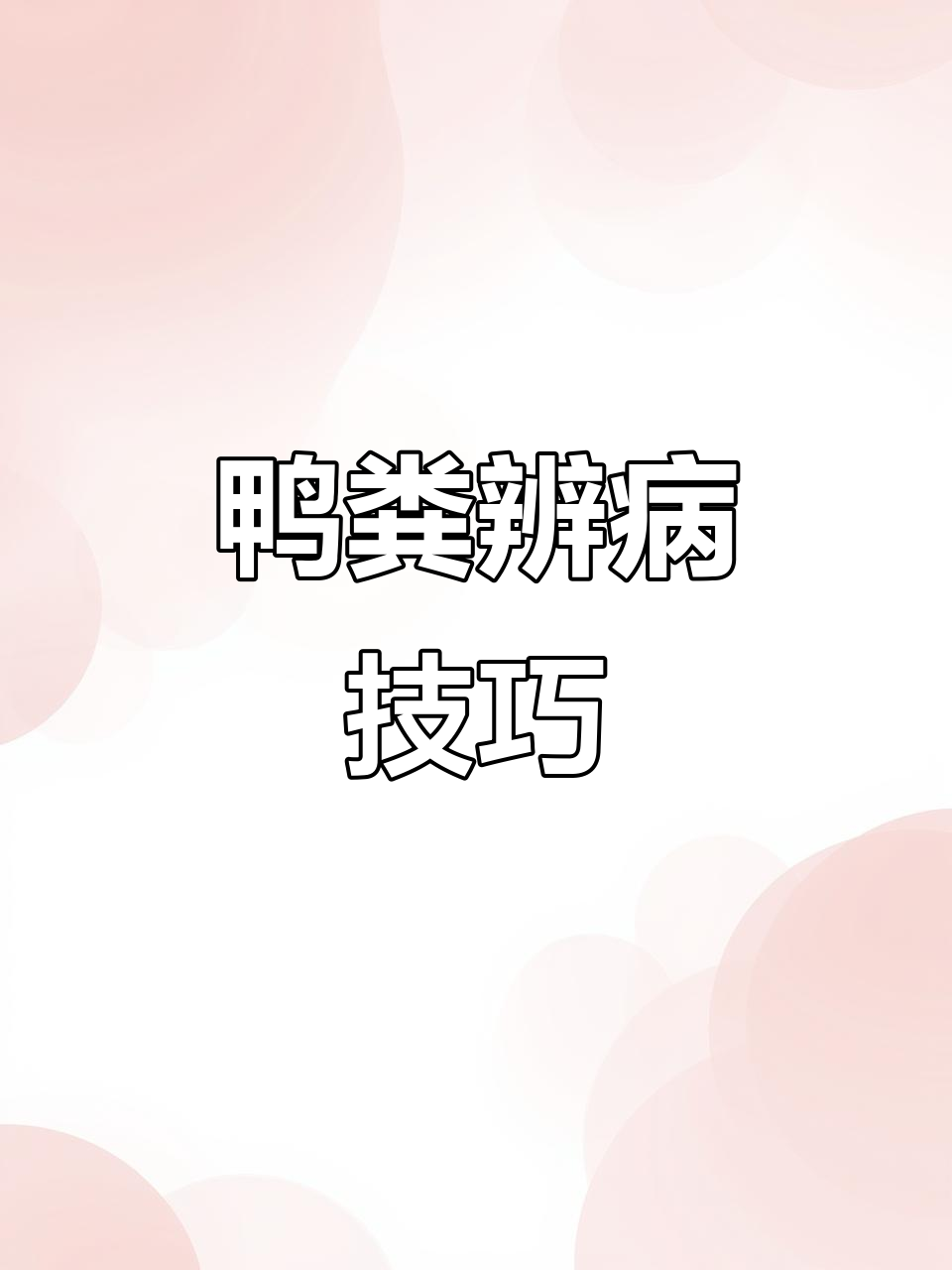 鸭子粪便颜色变化揭示健康信号,学会这些你也能判断疾病