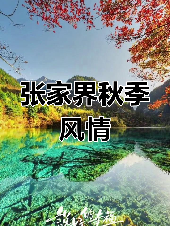 秋天的张家界,与心爱的人共赏山河美景