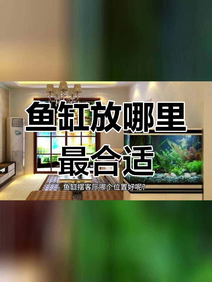 鱼缸摆放风水指南:客厅最佳位置解析