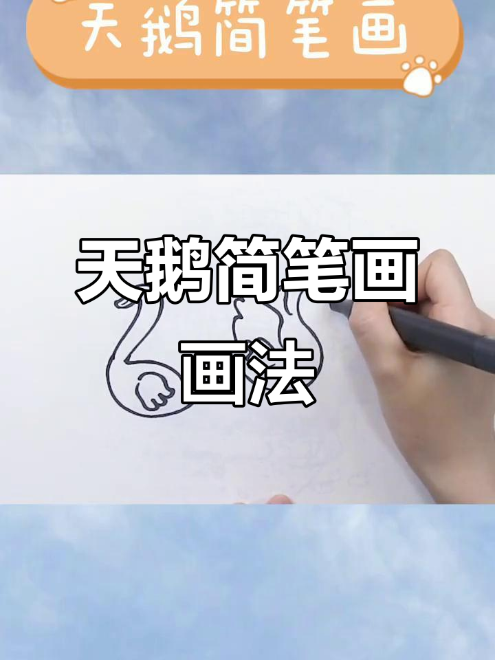轻松学画天鹅简笔画,步骤简单又有趣