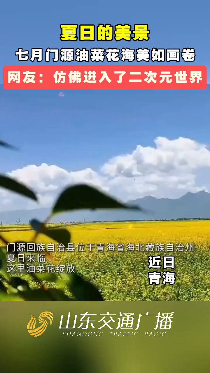 油菜花与蓝天交织成天然调色盘,一列列驰骋的动车穿梭其中