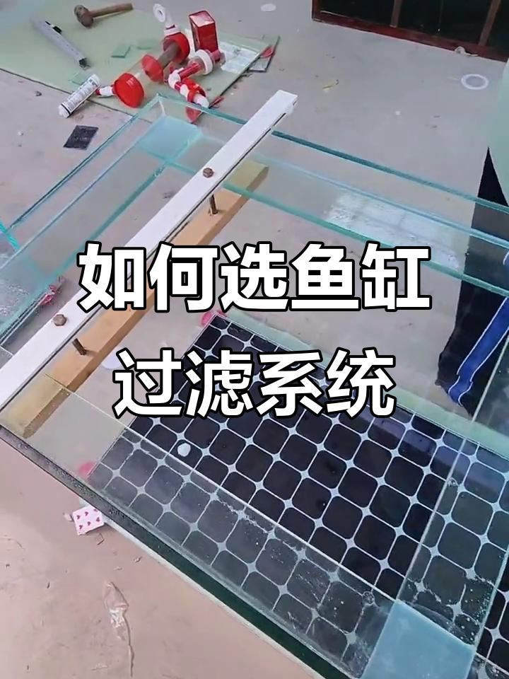 鱼缸过滤系统选择指南,如何避免噪音和浪费空间