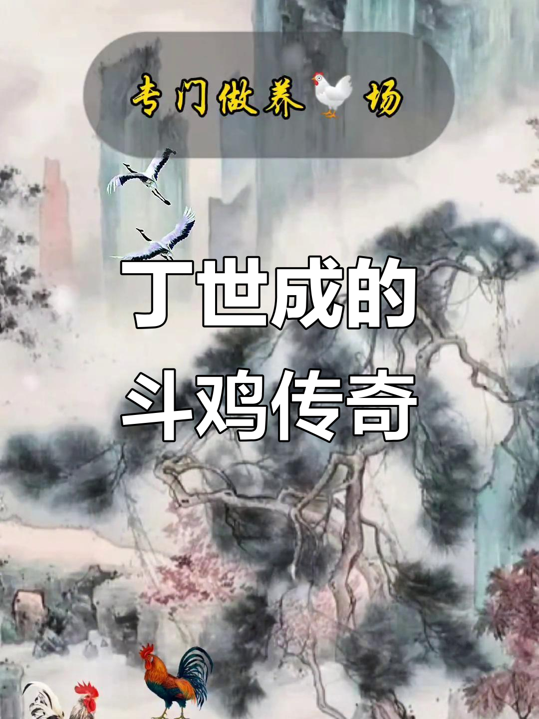 丁世成与斗鸡：从养鸡场到名扬四海的故事