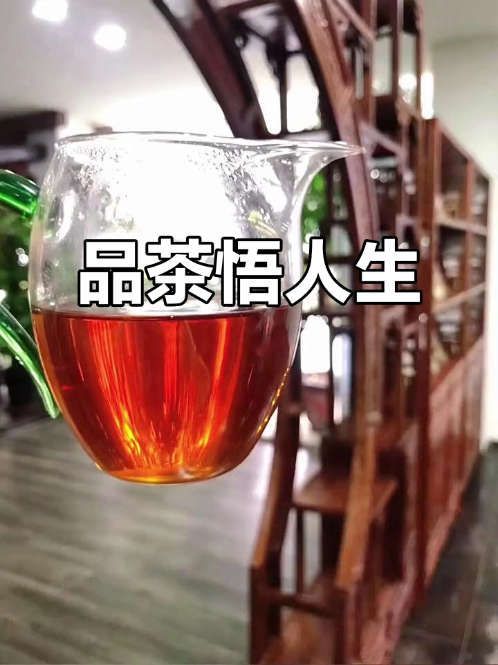 静心品茶,未来可期:梅花饼与普洱的完美邂逅