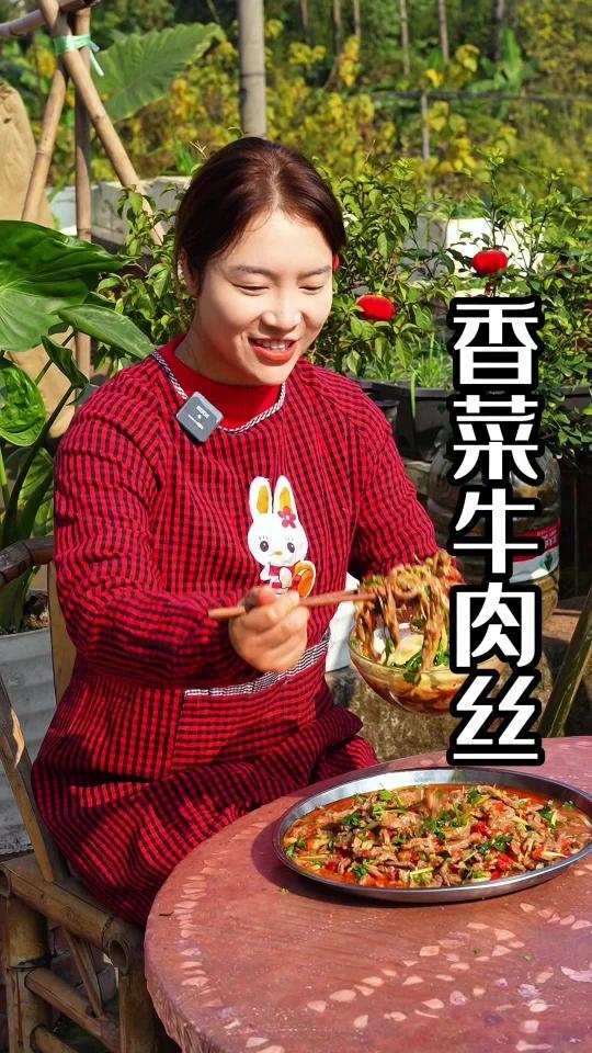 自贡的香菜牛肉丝太好吃了