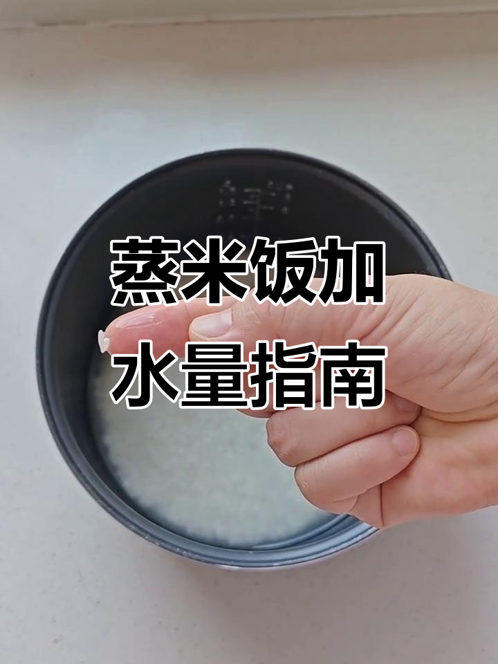 电饭锅蒸米饭与熬粥技巧大揭秘,轻松掌握加水比例