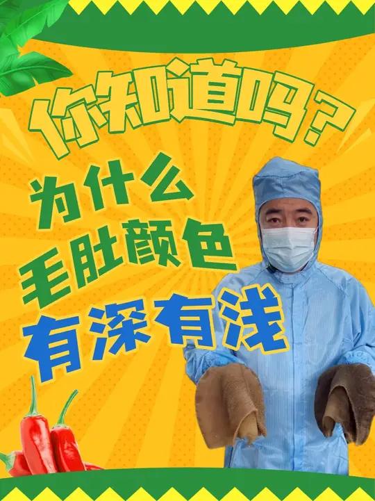 为什么毛肚颜色有深有浅?一个视频会你怎么选好毛肚