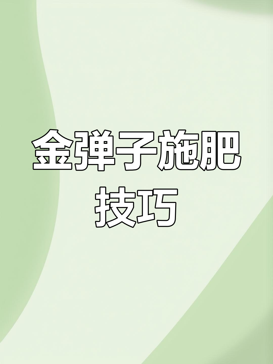 金弹子施肥,助力果实迅速膨大,转色准备提前做