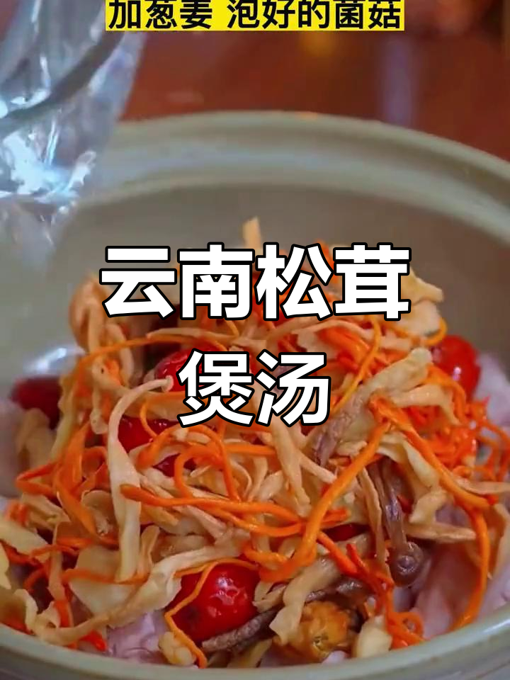 云南松茸菌菇汤包,鲜美又营养,家人都爱喝