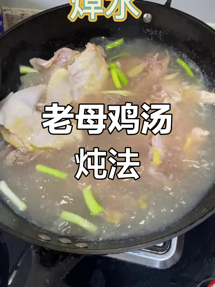 炖老母鸡汤,味道如何?