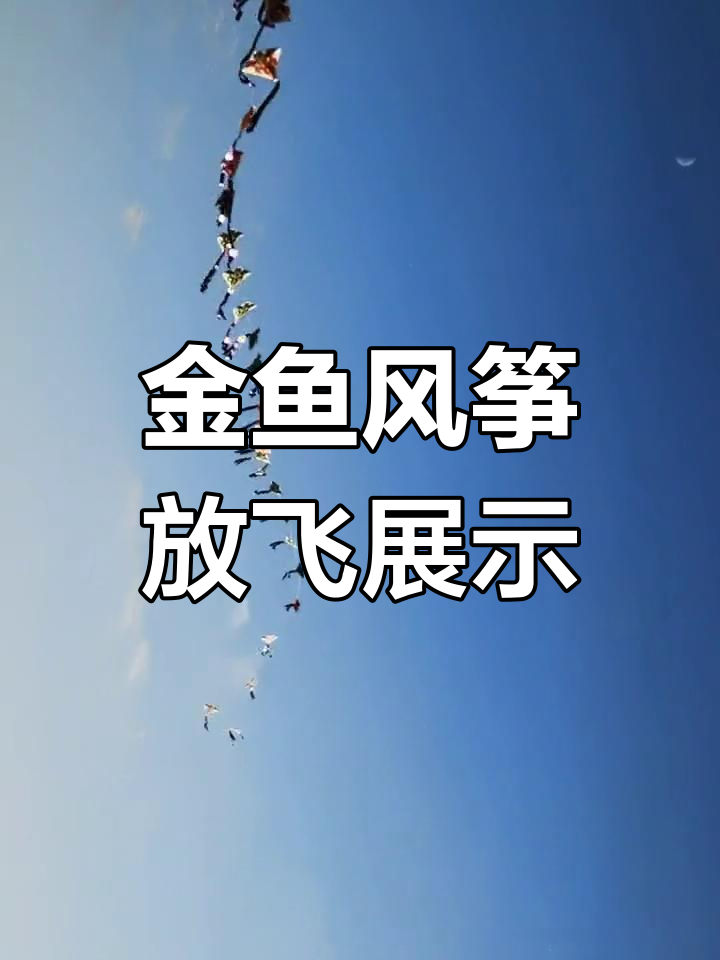 三十只金鱼风筝飞向蓝天