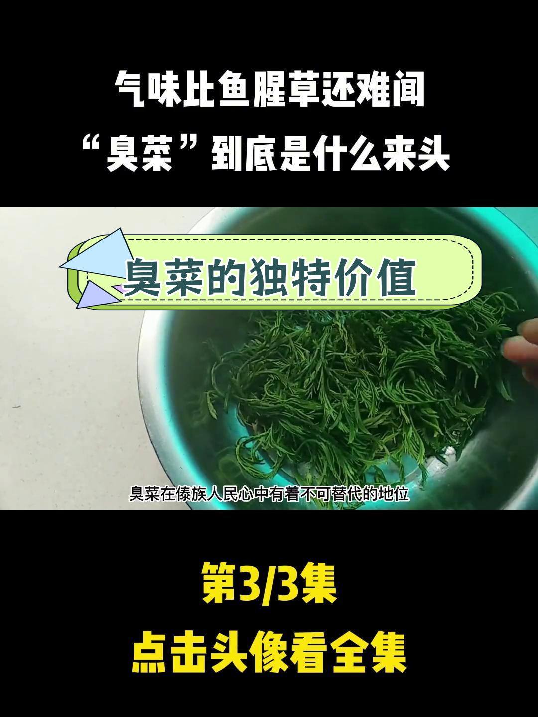 云南人钟爱的臭菜,究竟有何特别之处?