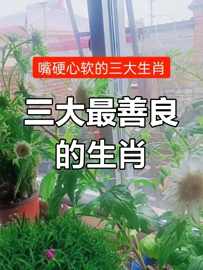 嘴硬心软的三大生肖,看看你是不是其中之一?