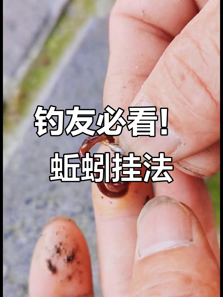 钓鱼技巧大揭秘:蚯蚓挂钩方法全解析