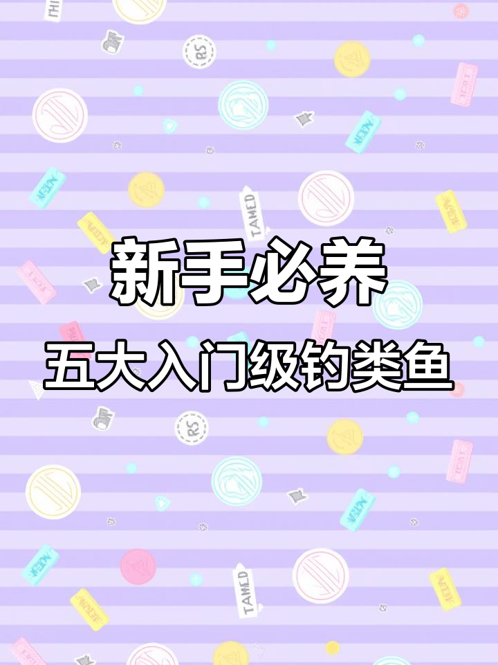 适合新手养的五种最皮实吊类鱼,轻松上手