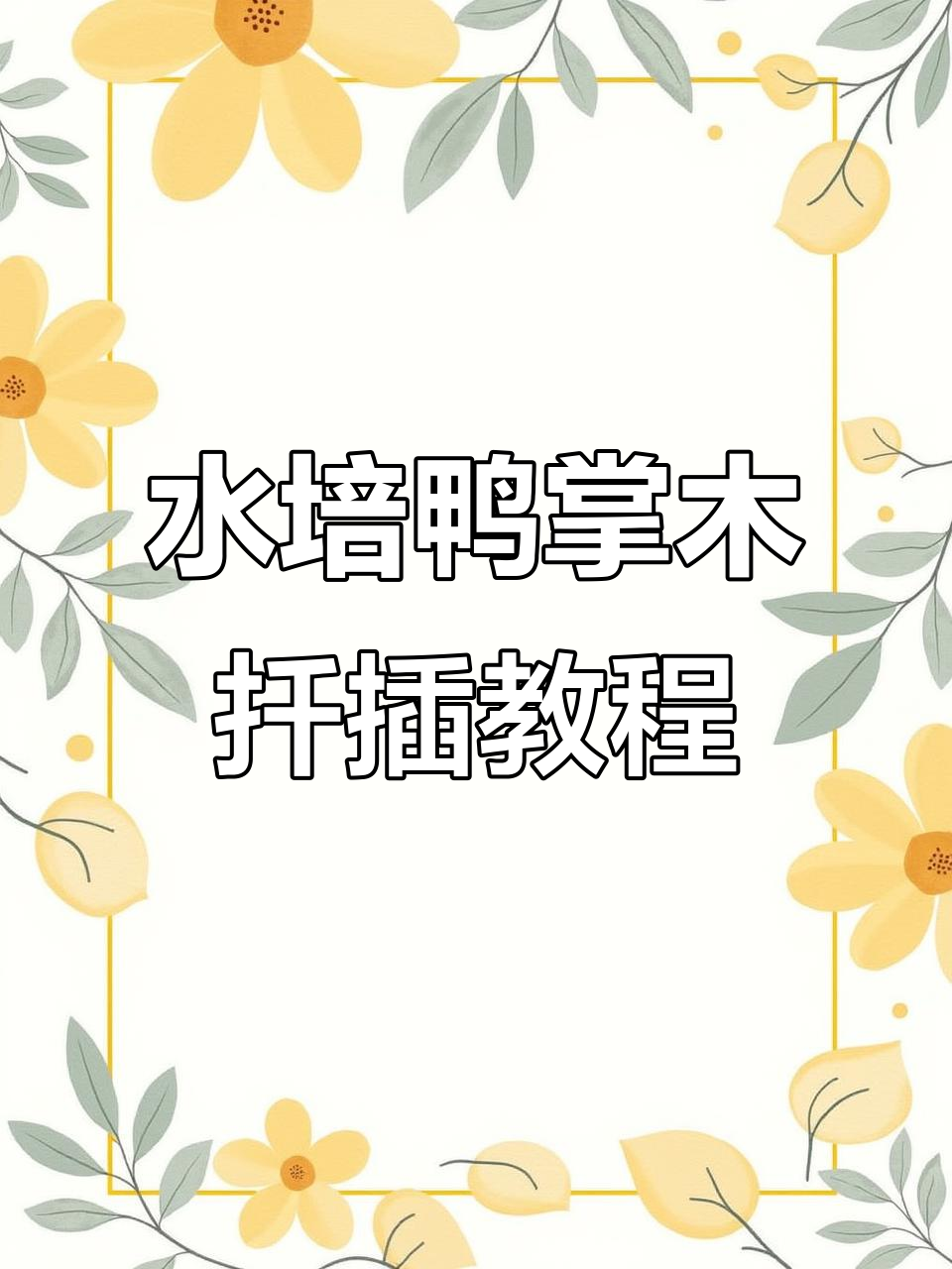 鸭掌木水培扦插技巧,轻松搞定生根问题