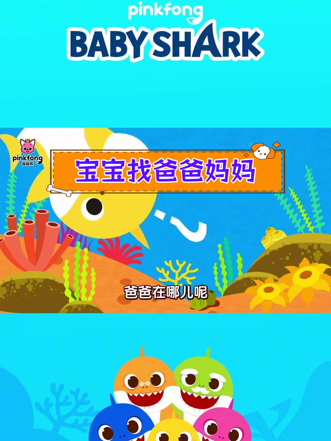 鲨鱼宝宝如何找到父母?