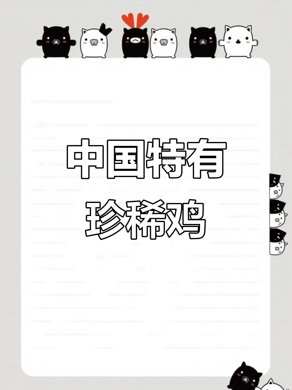 中国的神秘超级鸡,比大熊猫还稀有!