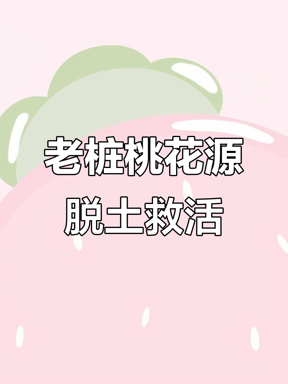 夏季化水危机,老桩桃花源脱土抢救