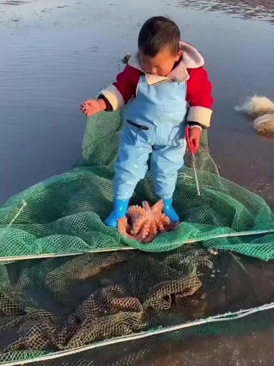 八爪鱼吸住明明的脚了！