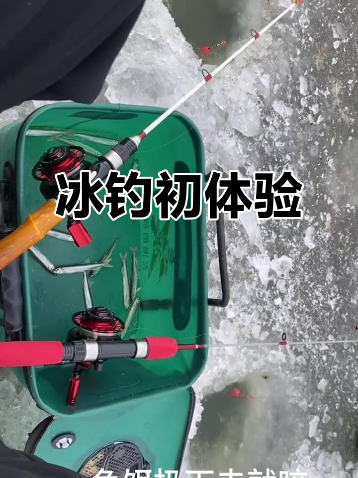 冰钓小公鱼,第一次尝试,竟然挺有趣!