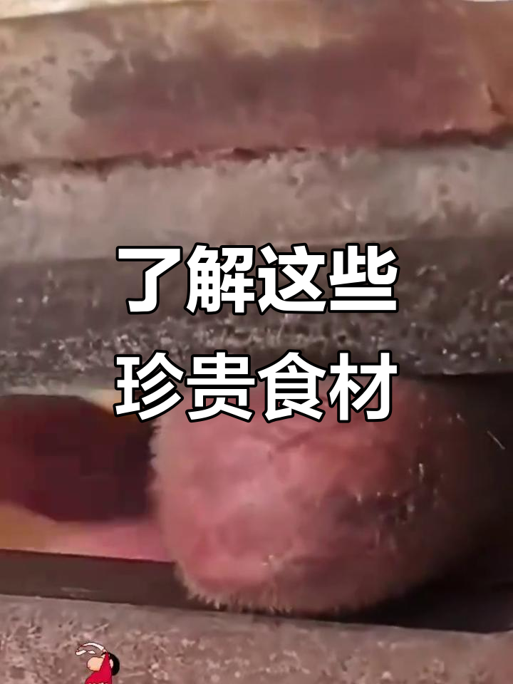 这些食材你都知道吗?鹿茸、鱼翅、燕窝全都来啦!