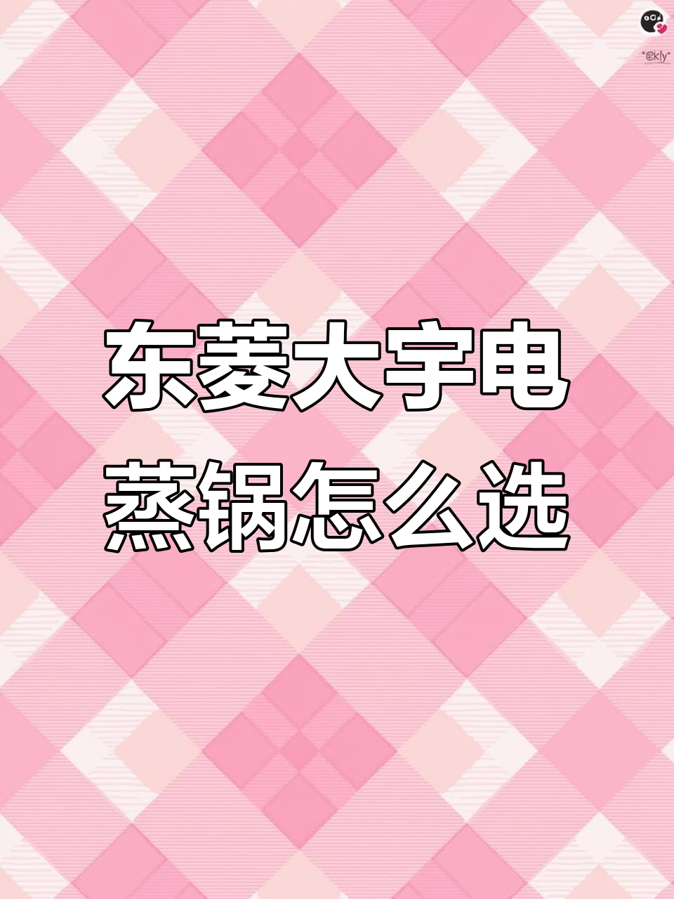 大宇与东菱电蒸锅对比：功能、加热方式全解析