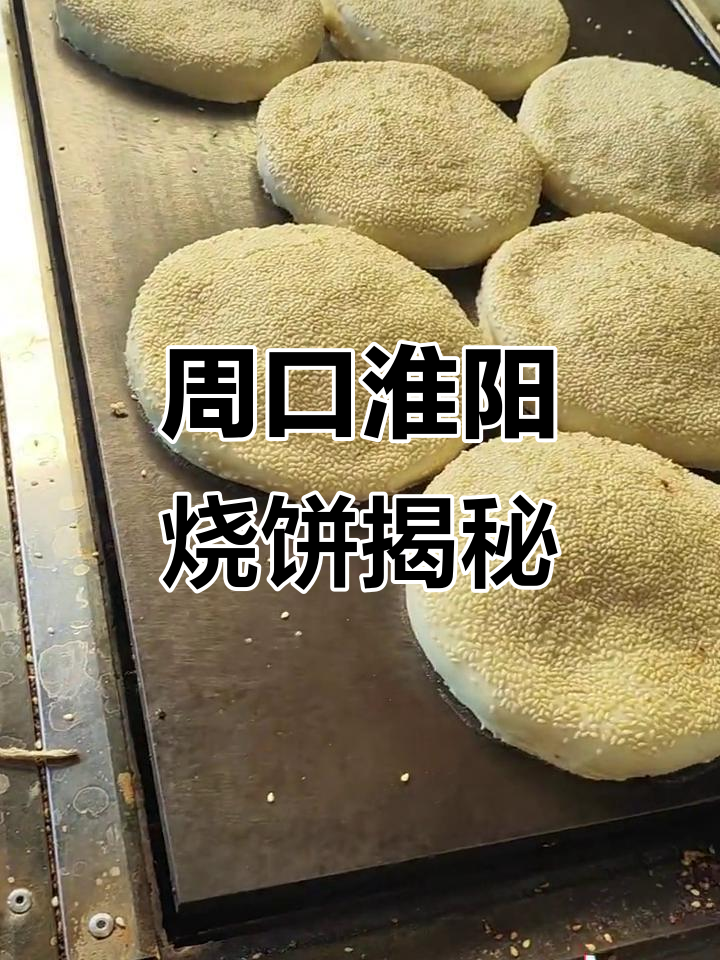 河南淮阳烧饼制作秘籍:传统手工技艺与现代烤炉的完美结合