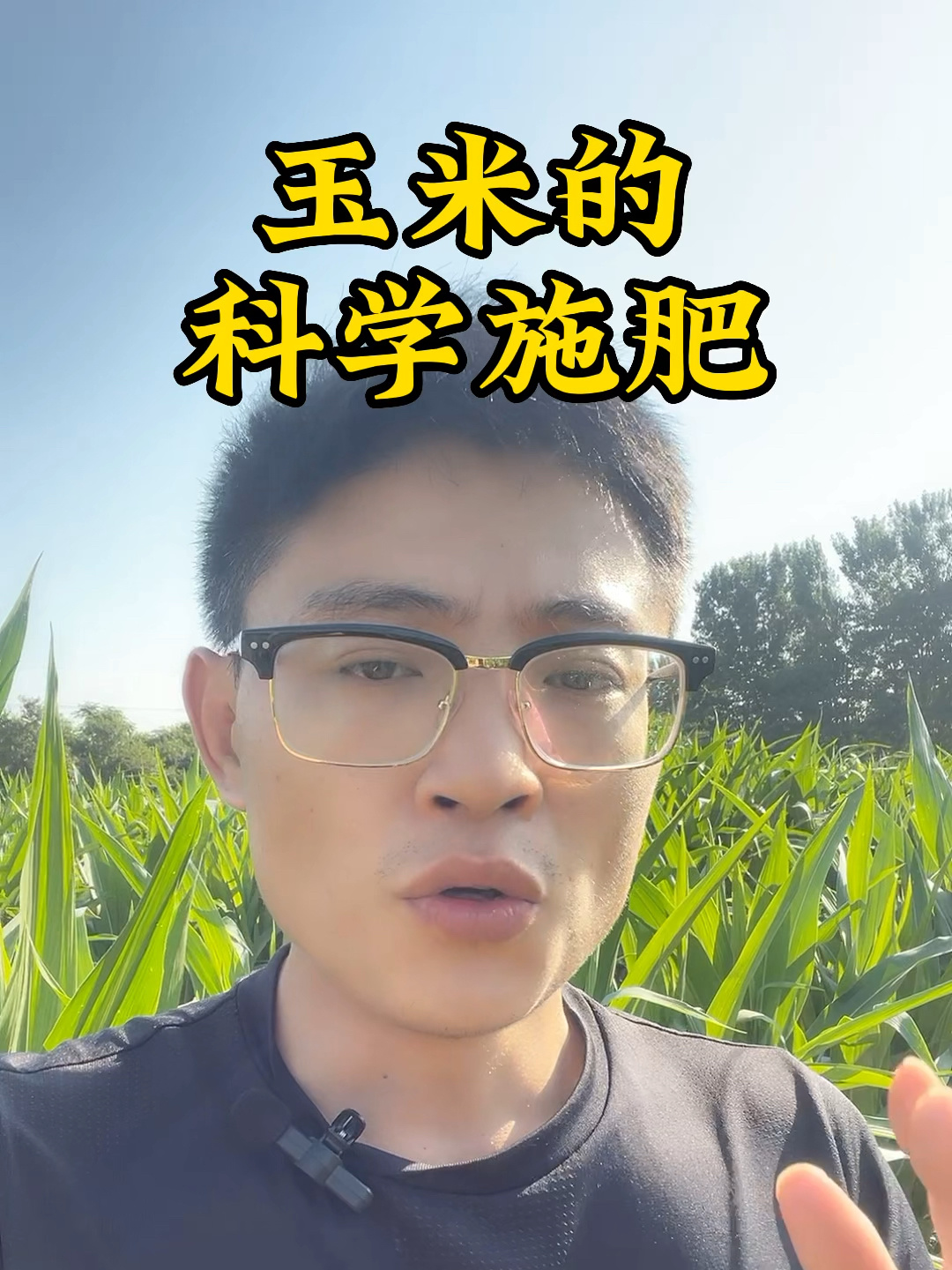 玉米种植科学施肥管理