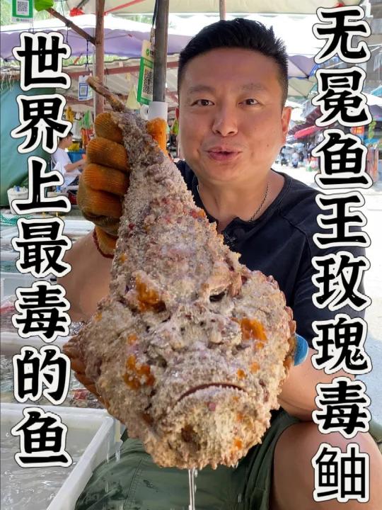 石头鱼(玫瑰毒鲉 )来自南海的美味珍馐。长的难看但是味道整不错啊!
