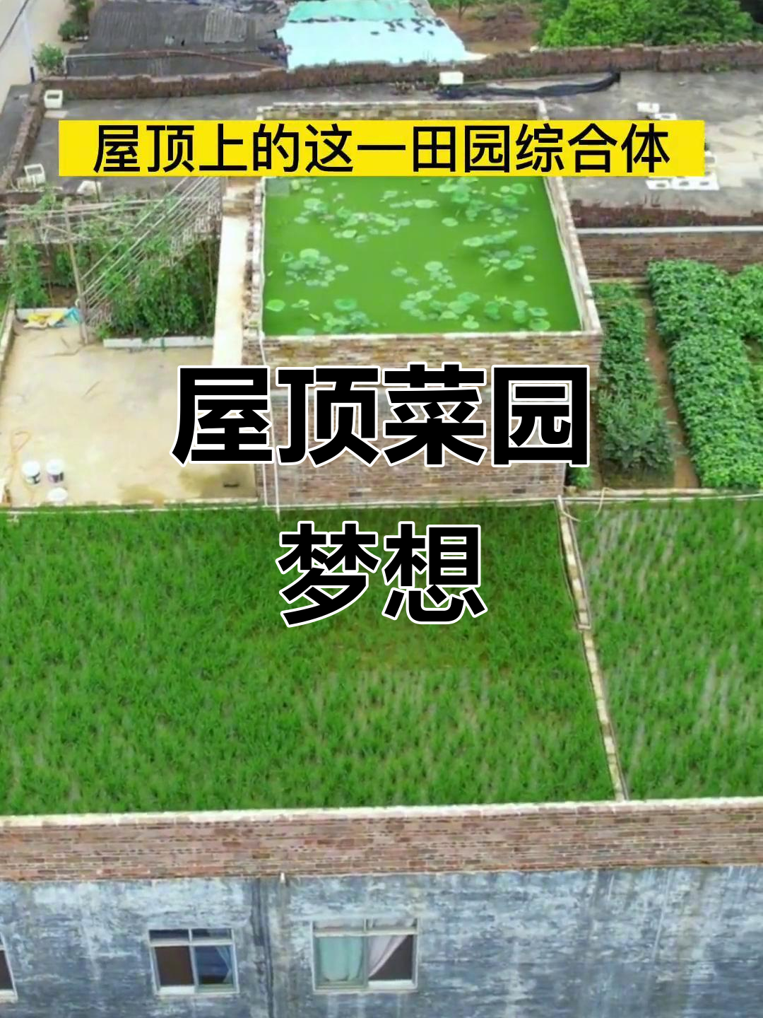 屋顶变菜园,养活一家人!你愿意拥有这样的神奇空间吗?