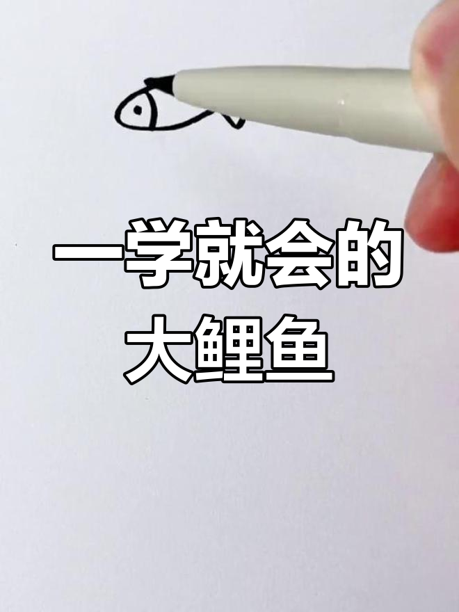 轻松学会画大鲤鱼,简单几步搞定