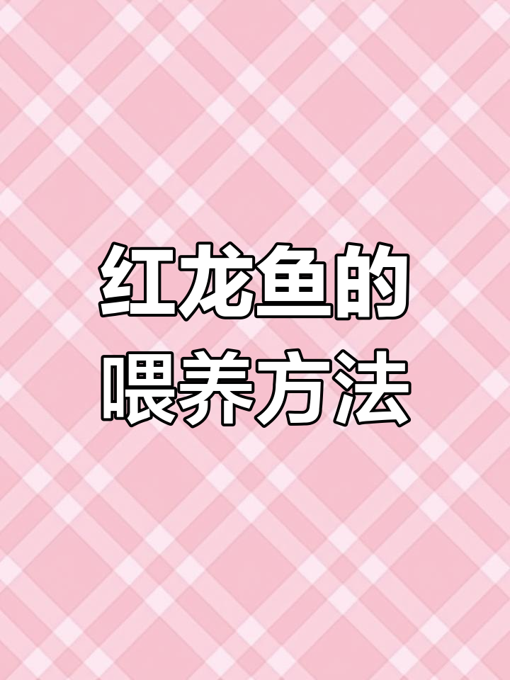 红龙鱼饲养基础与喂食技巧
