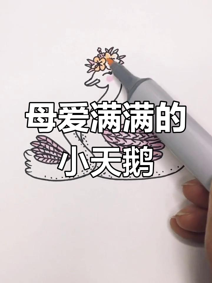 小天鹅为妈妈送上母亲节简笔画，温馨又可爱