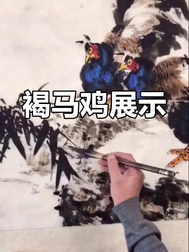 分享珍禽褐马鸡图片,感谢支持